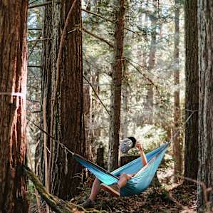 Relaxing under these beautiful Redwoods near the yurt.
