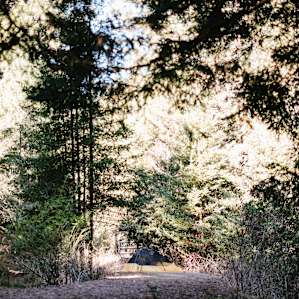 A view of the pond camp from yurt trail.
