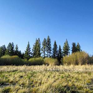 Just a two-minute walk from the campground