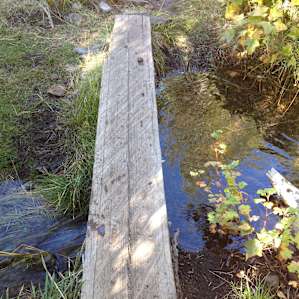 Walking the plank over the brook