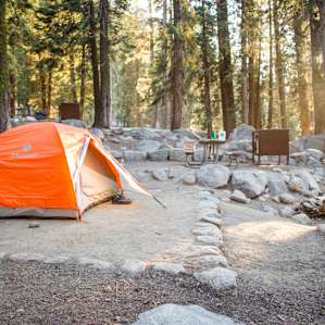 tent forest lodging
