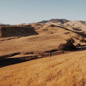 Hiking the rolling hills