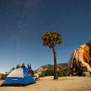 Campsite number 8 at night, moon phase is waxing crescent.