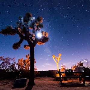 Campsite number 8 at night, moon phase is waxing crescent.