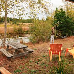 The view from the porch looking down onto the Cranberry bog, picnic table and bonfire area. Check for local burn bans!