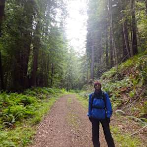 Beginning the trail up into the forest