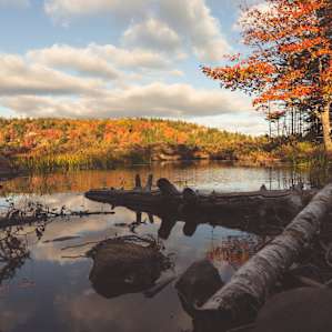 Hiking through Acadia, less than a 30-minute drive away!