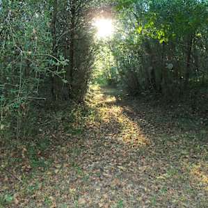 Old Burleson Camp Old Burleson Camp