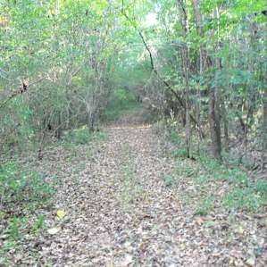 Old Burleson Camp Old Burleson Camp