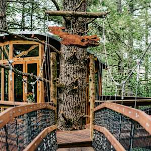 Walking up to the treehouse feels like you're in a Disney movie.