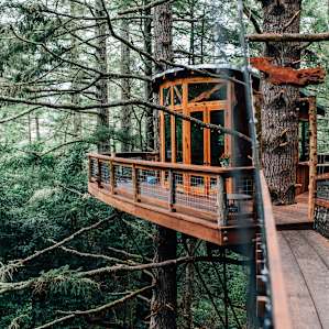 The Eagle's Nest Treehouse in all it's glory!