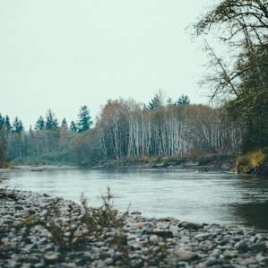 I spent couple hours hiking around and exploring the banks of this river. Whether you spend your downtime at the beach, in the forest, or on the river, this place is worth the trip.