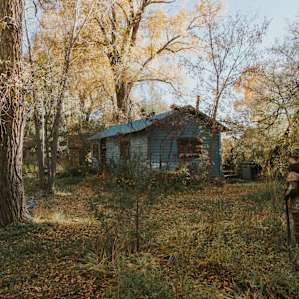 There is a big yard beside the cabin with places to sit and enjoy the space