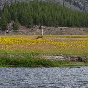 Madison Campground