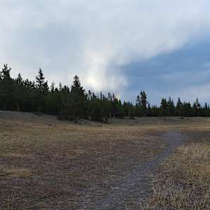Madison Campground
