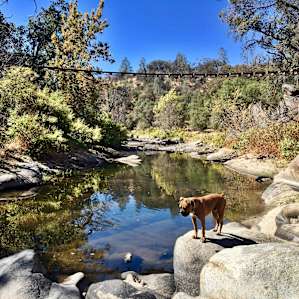1000 Acre Cattle Ranch
