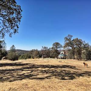 1000 Acre Cattle Ranch