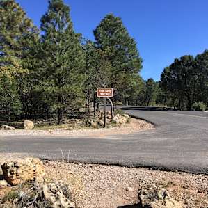 Pine Loop