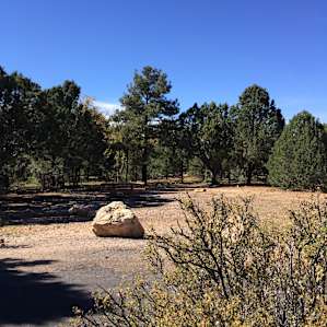 Campsite in Pine Loop