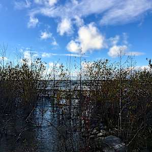 Leelanau Campground