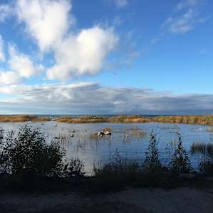 Leelanau Campground