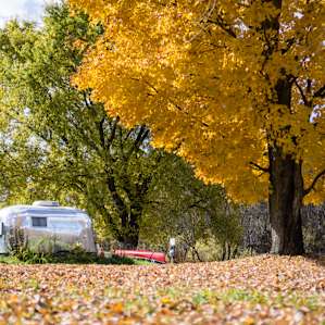 Fall in camp!