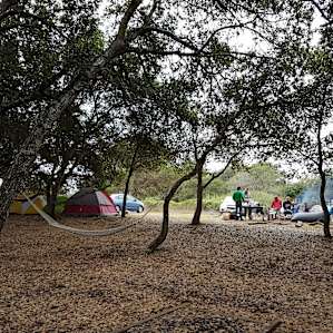 Overall view of the biggest campsite. The Japanese hot tub is 2 minutes from here, in the redwoods forest.