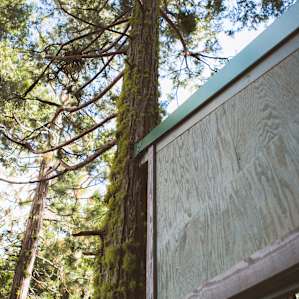 Shasta View Treehouse