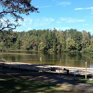 Lake Powhatan nice spot for a relaxing picnic