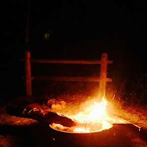 Wekiwa Springs Campground