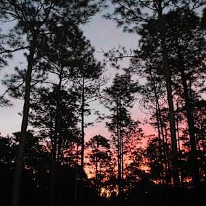 Wekiwa Springs Campground