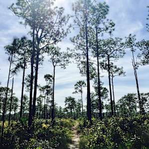 Wekiwa Springs Campground