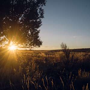 Last of the daylight