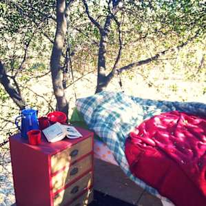 Treehouse