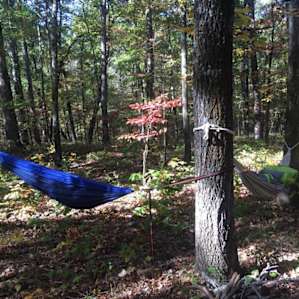 Primitive camping spot -- plenty of trees to hang your hammock.