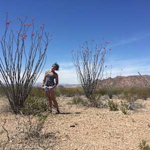 Chisos Basin Campground