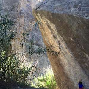 Chisos Basin Campground