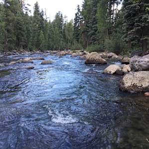 The river which runs right beside the campground. Good fishin'.