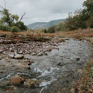 We took a walk along the creek in the morning.