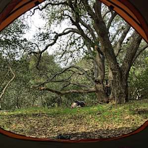 A view from the tent.