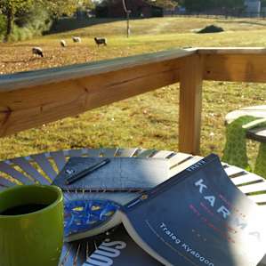 Sheep grazing right off the deck