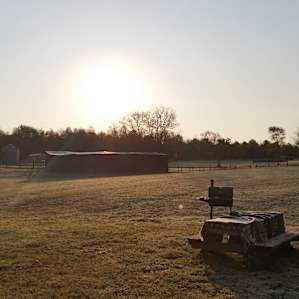 Grill and picnic table at sunrise