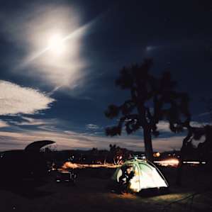 Light Park Tent Camping