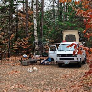 Easy van access, and a great fall campsite.