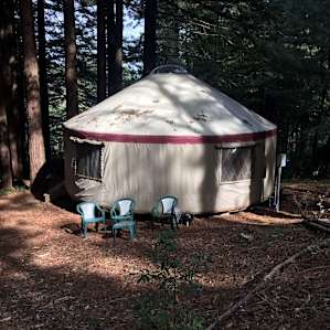 Enchanted Forest Yurt