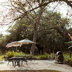 Outdoor grilling area with tables for eating and preparing food