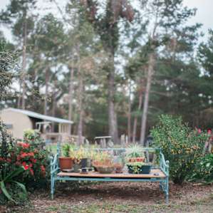 The lovely grounds of Music Springs!