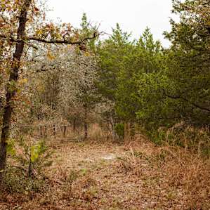 One of the many available tent sites