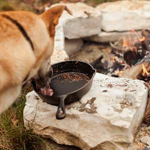 Obviously we let the dog clean our skillets