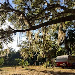 RV site with 30 amp electric and water, under the live oaks.